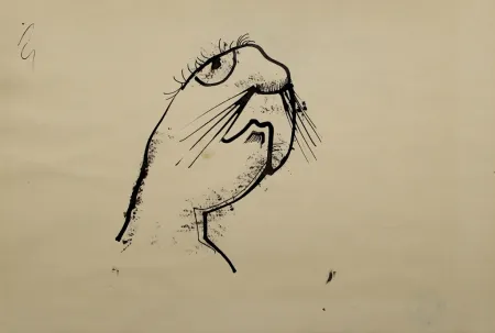 Geen Techniek Hofer - Robbe (Seal)