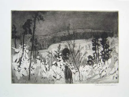 Ets En Aquatint Hoffmann - Winter Wanderer