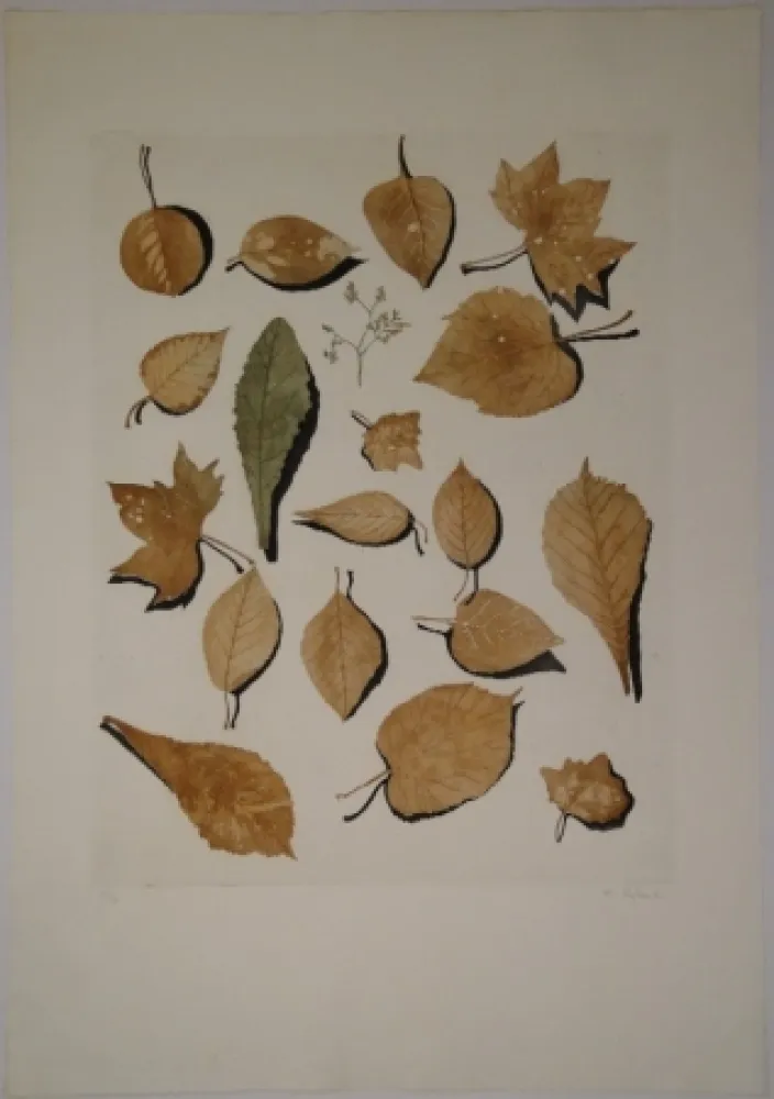 Ets En Aquatint Hofkunst - (Welke Laubblätter)