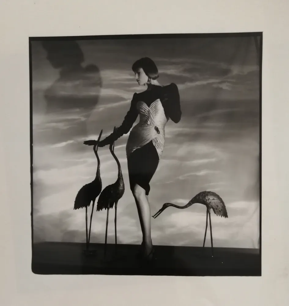 Fotografie Horst  - Femme aux hérons