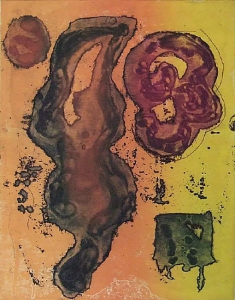 Ets En Aquatint Hoyland - Rivers of Surprise