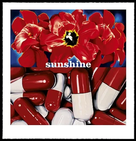 Zeefdruk Huart - Sunshine Daydream