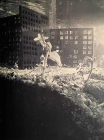 Fotografie Iglesias - Aquarium II, 1