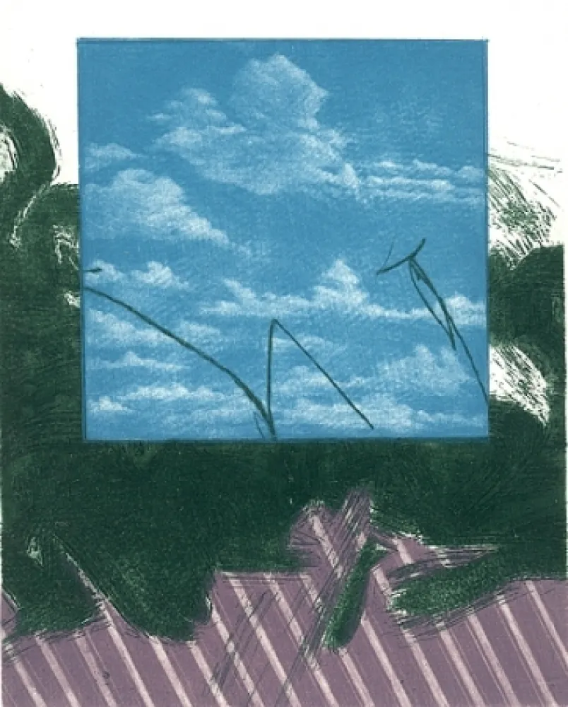 Geïllustreerd Boek Ikeda - Gennaio a Kyoto