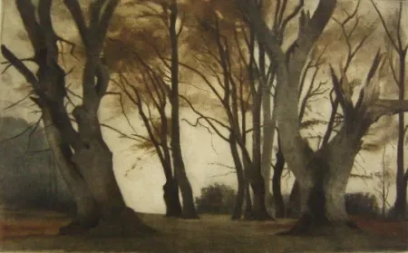 Mezzotint Ilsted - Trees in Elmelunden