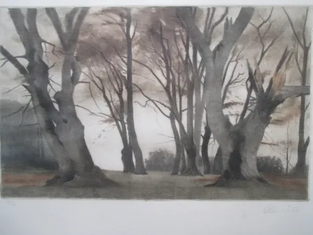 Mezzotint Ilsted - Trees in Ermelunden