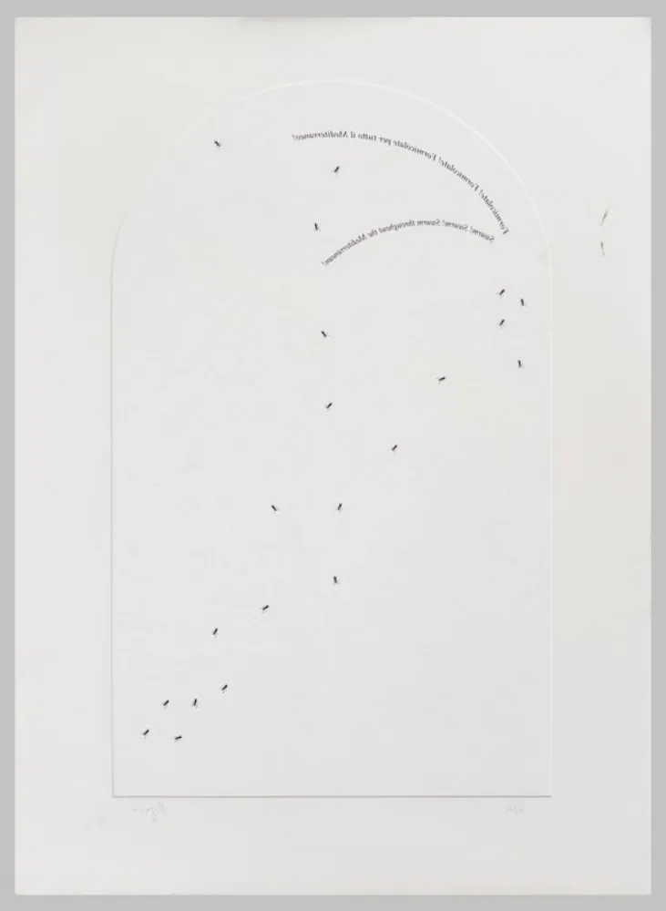 Zeefdruk Isgro - Formicolate! Formicolate! Formicolate per tutto il mediterraneo!