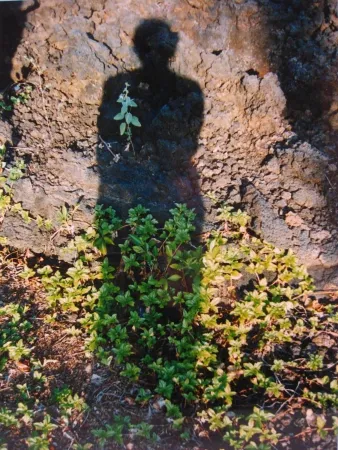 Geen Techniek Jacobs - Shadows II