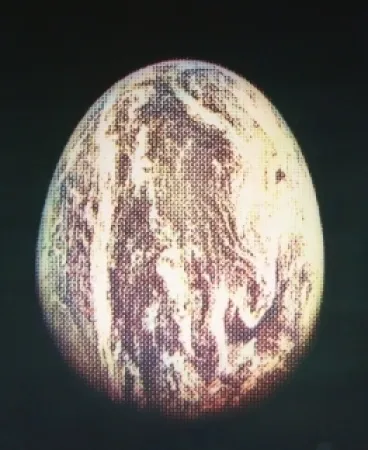 Ets En Aquatint Jacquet - L'oeuf