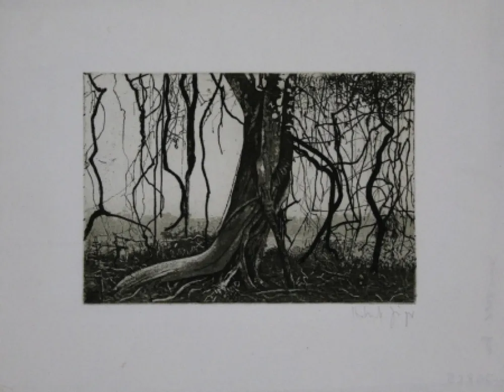 Ets En Aquatint Jäger - Knorriger Baum / Gnarled Tree