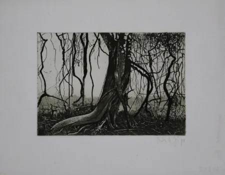 Ets En Aquatint Jäger - Knorriger Baum / Gnarled Tree