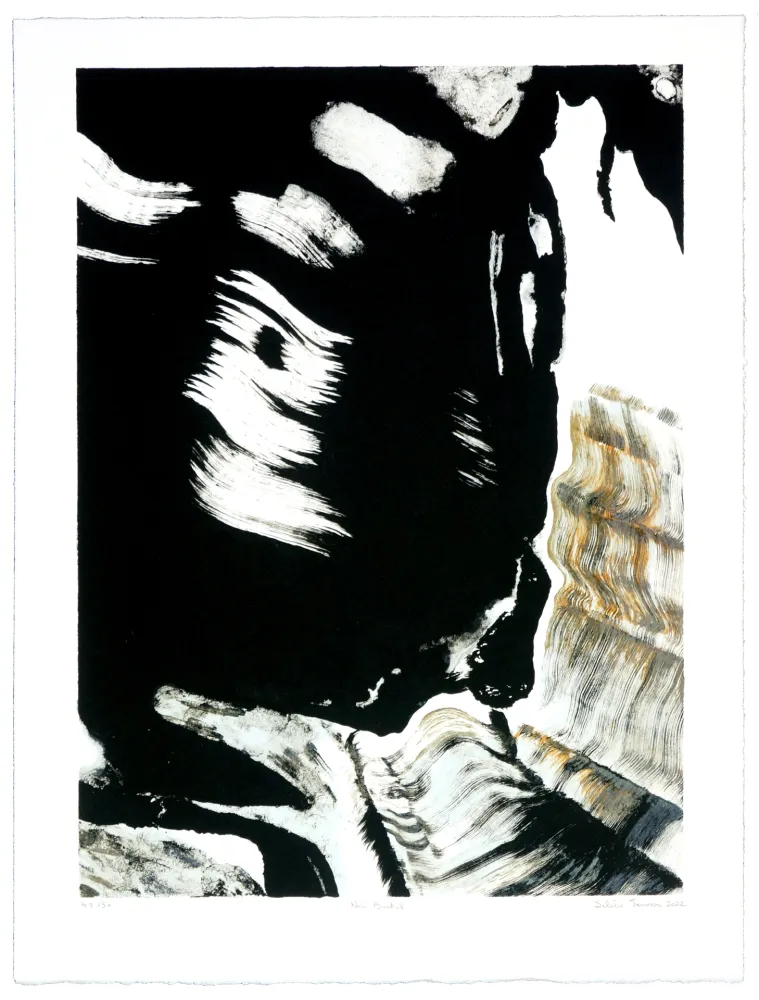 Lithografie Jarrosson - Noir Brutal