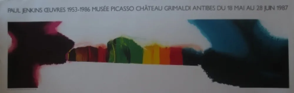 Lithografie Jenkins - Sans titre