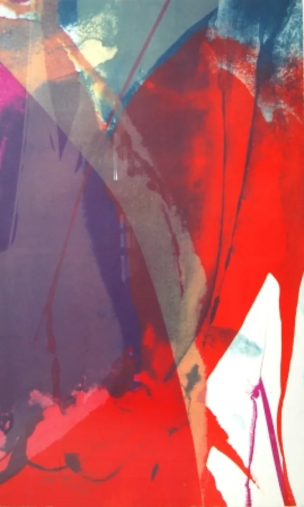 Lithografie Jenkins - Untitled