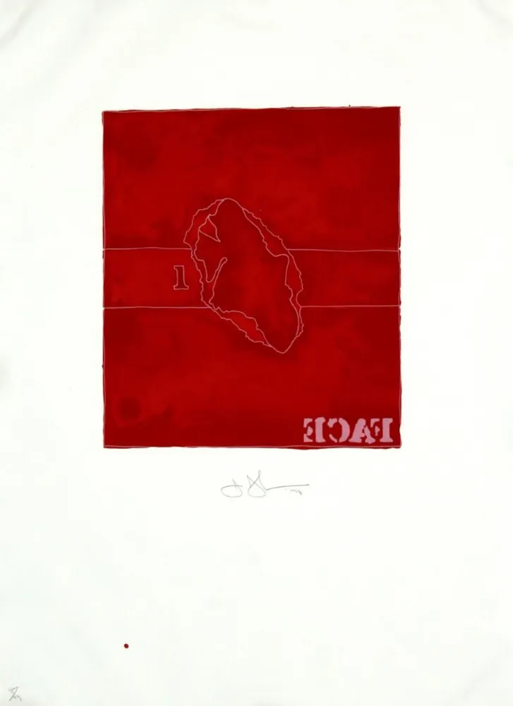 Lithografie Johns - Face