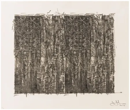 Zeefdruk Johns - Two Flags