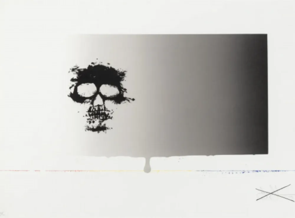 Zeefdruk Johns - Untitled (from Reality and Paradoxes)