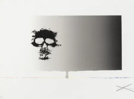 Zeefdruk Johns - Untitled (from Reality and Paradoxes)