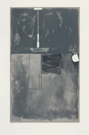 Lithografie Johns - Zone