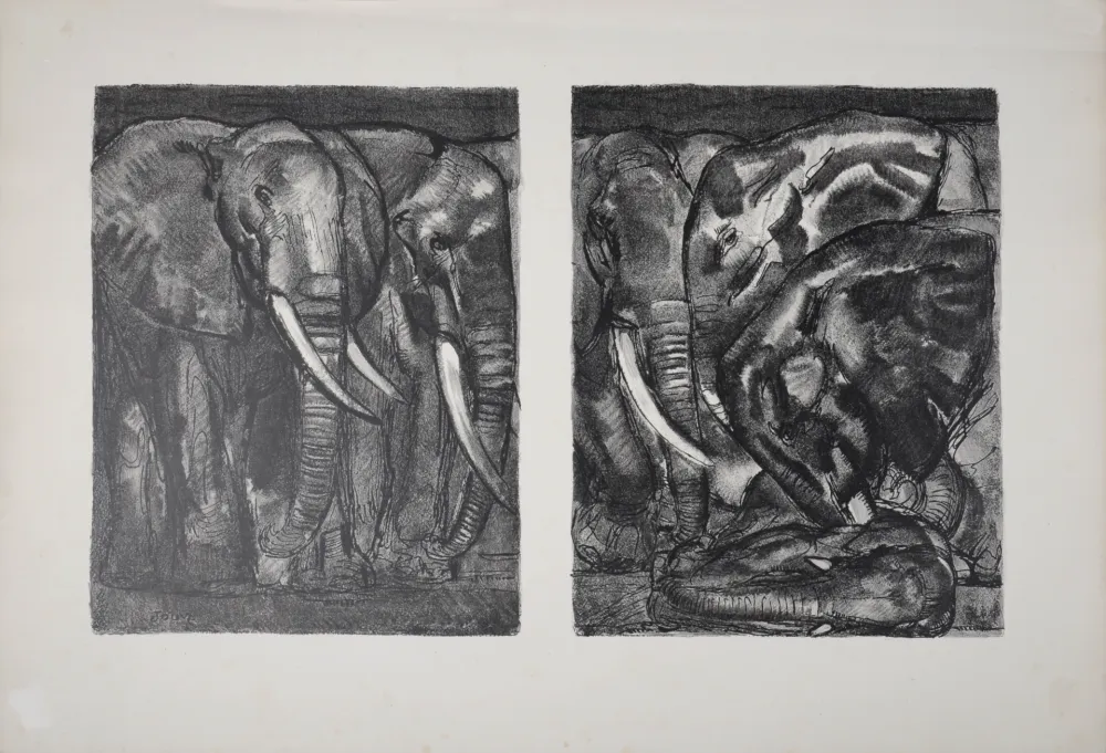Lithografie Jouve - Elephants