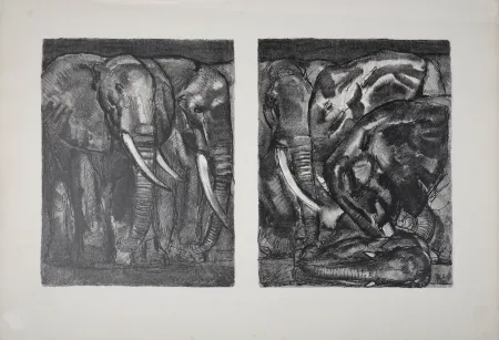 Lithografie Jouve - Elephants