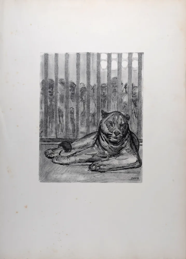 Lithografie Jouve - La Lionne