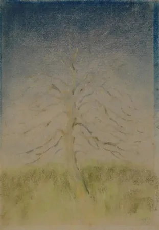 Geen Techniek Junghanns - (Kahler Baum)