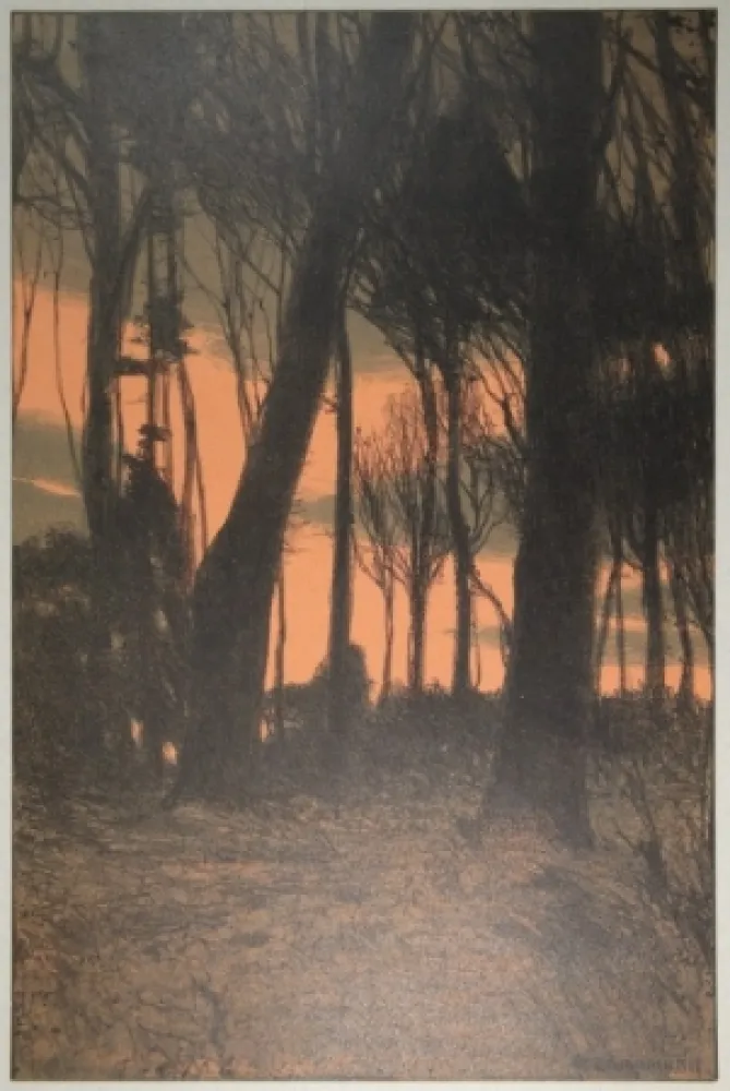 Lithografie Kampmann - Abendröthe (Bäume im Abendrot)