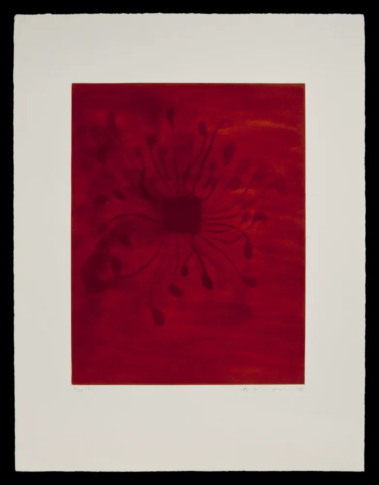 Aquatint Kapoor - S/T