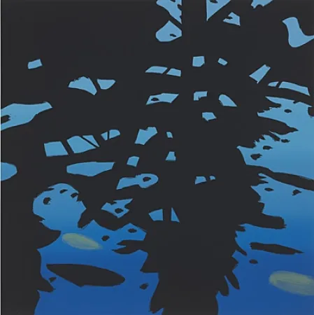 Zeefdruk Katz - Reflection