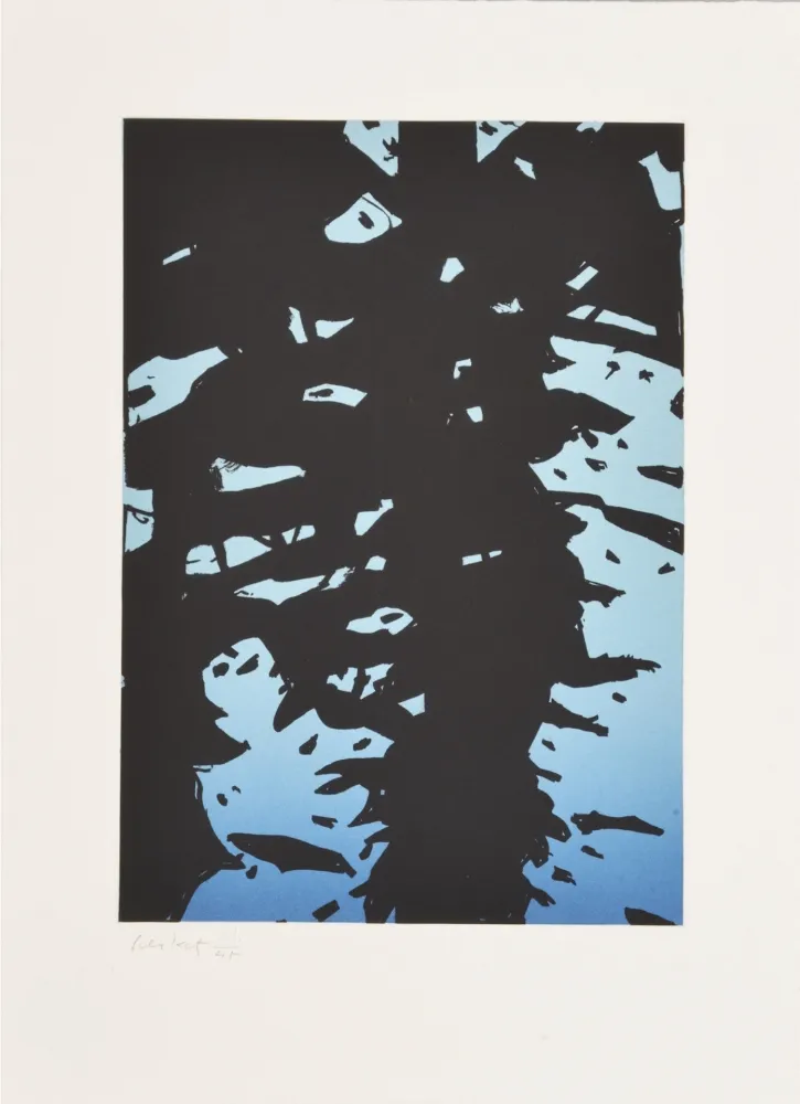 Ets Katz - Reflection I