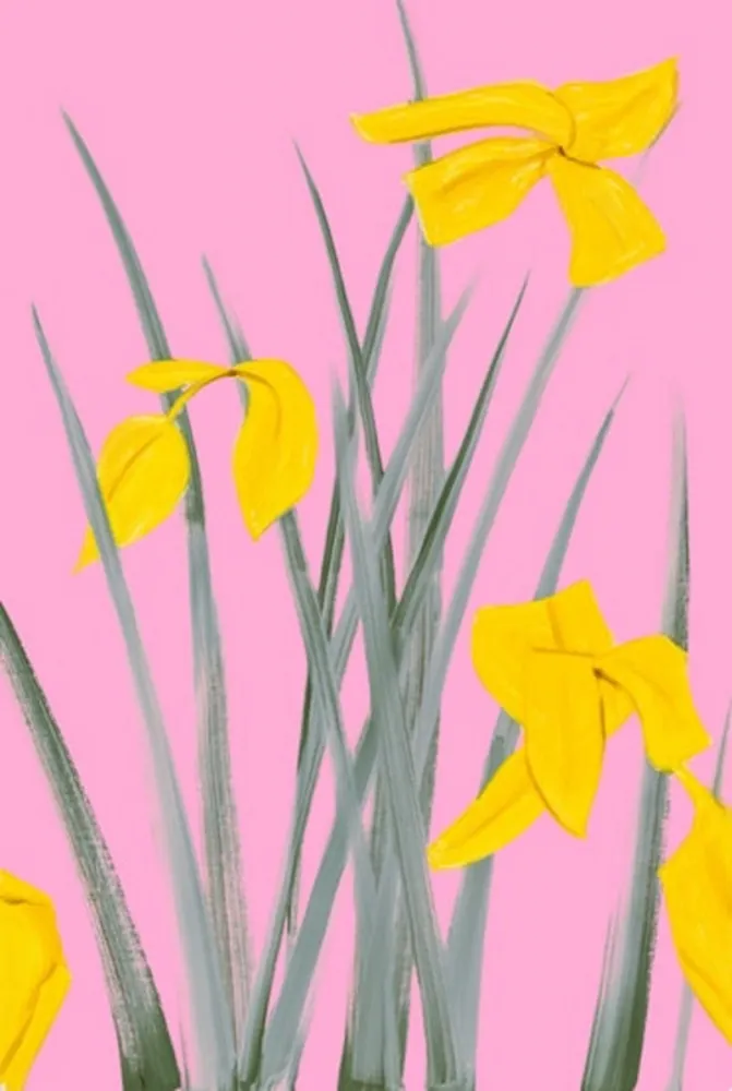 Geen Techniek Katz - Yellow Flags 3