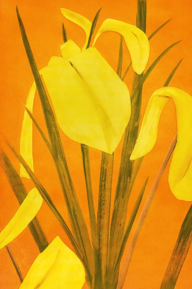 Ets En Aquatint Katz - 