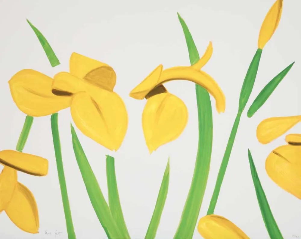 Geen Techniek Katz - Yellow Flags on White