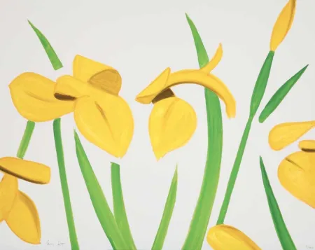 Geen Techniek Katz - Yellow Flags on White