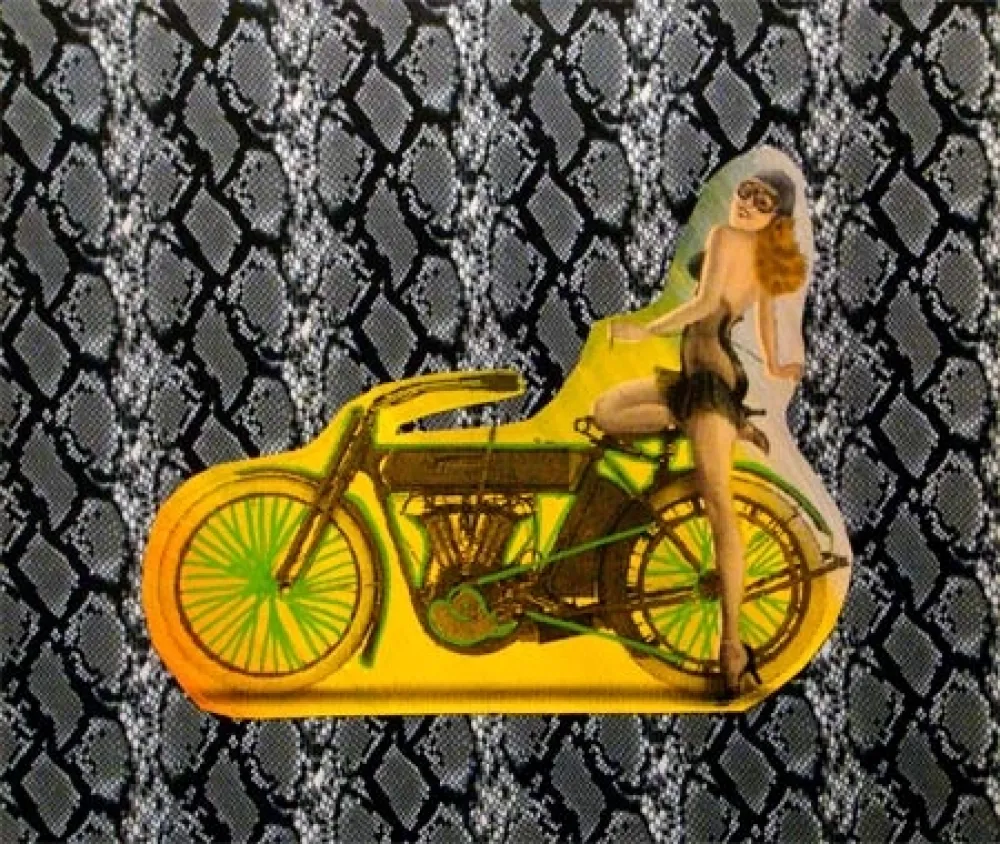 Zeefdruk Kaufman - Motorbike on Snakeskin