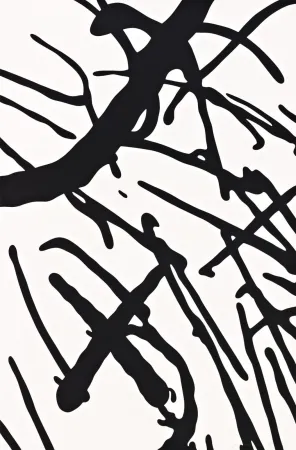 Zeefdruk Kaws - Man's Best Friend #6