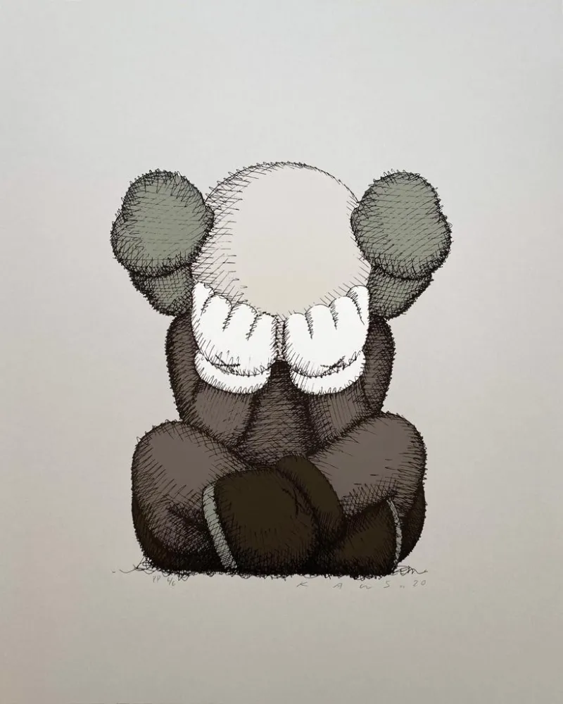 Zeefdruk Kaws - Separated