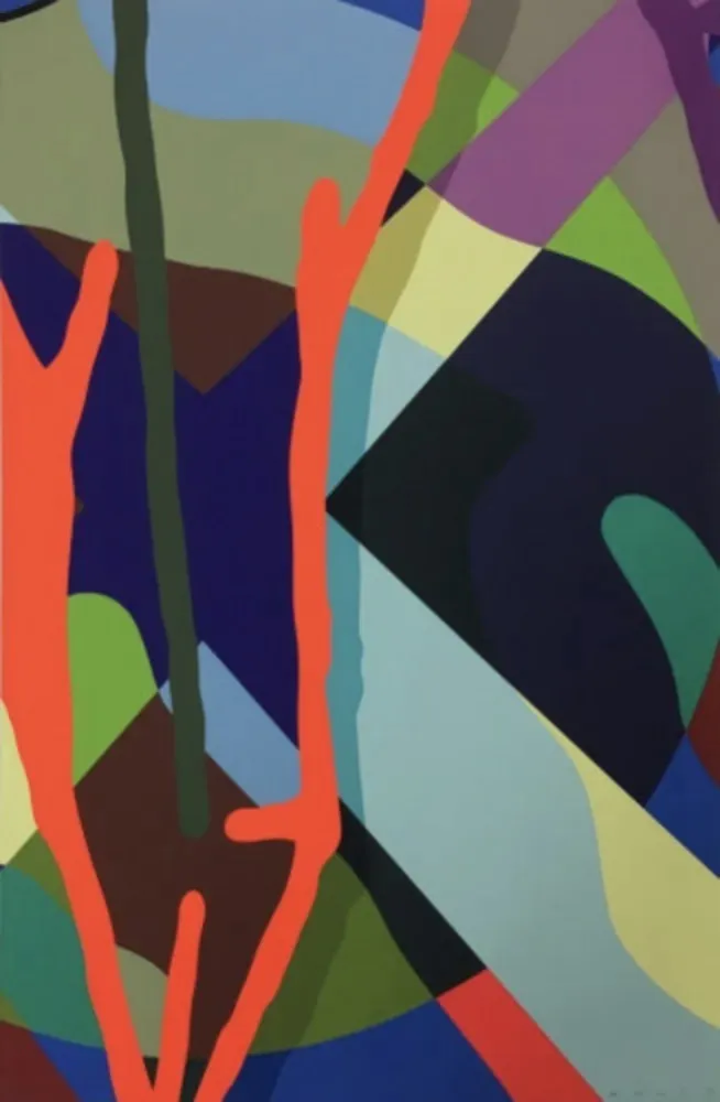 Zeefdruk Kaws - Tension 6