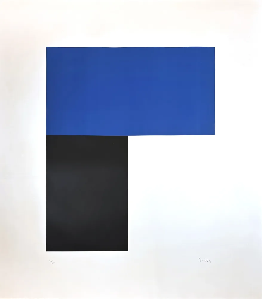 Lithografie Kelly - Blue with Black I