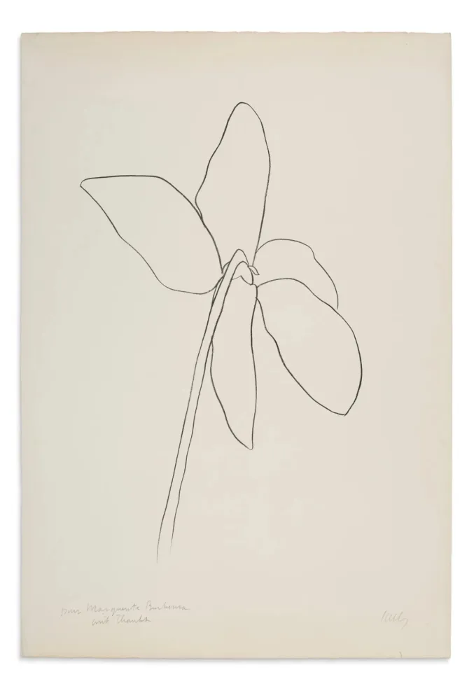 Lithografie Kelly - Cyclamen IV, 1964-1965