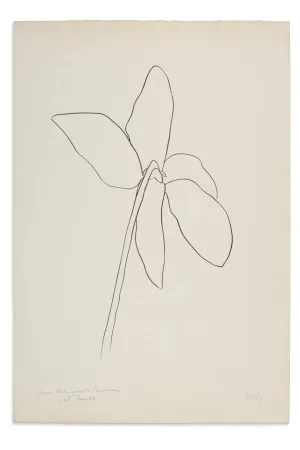 Lithografie Kelly - Cyclamen IV, 1964-1965
