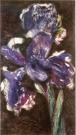 Lithografie Kentridge - Dutch Iris II
