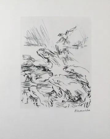 Droge Naald Kokoschka - Die Frösche / The Frogs