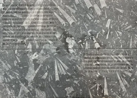 Ets Kosuth - El mapa de Miranda y la disciplina de Nietzsche