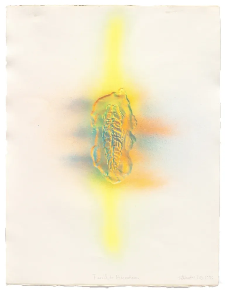 Gravure Kudo - Fossil in Hiroshima