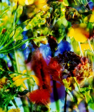 Geen Techniek Lafontaine - Paradise Lost II