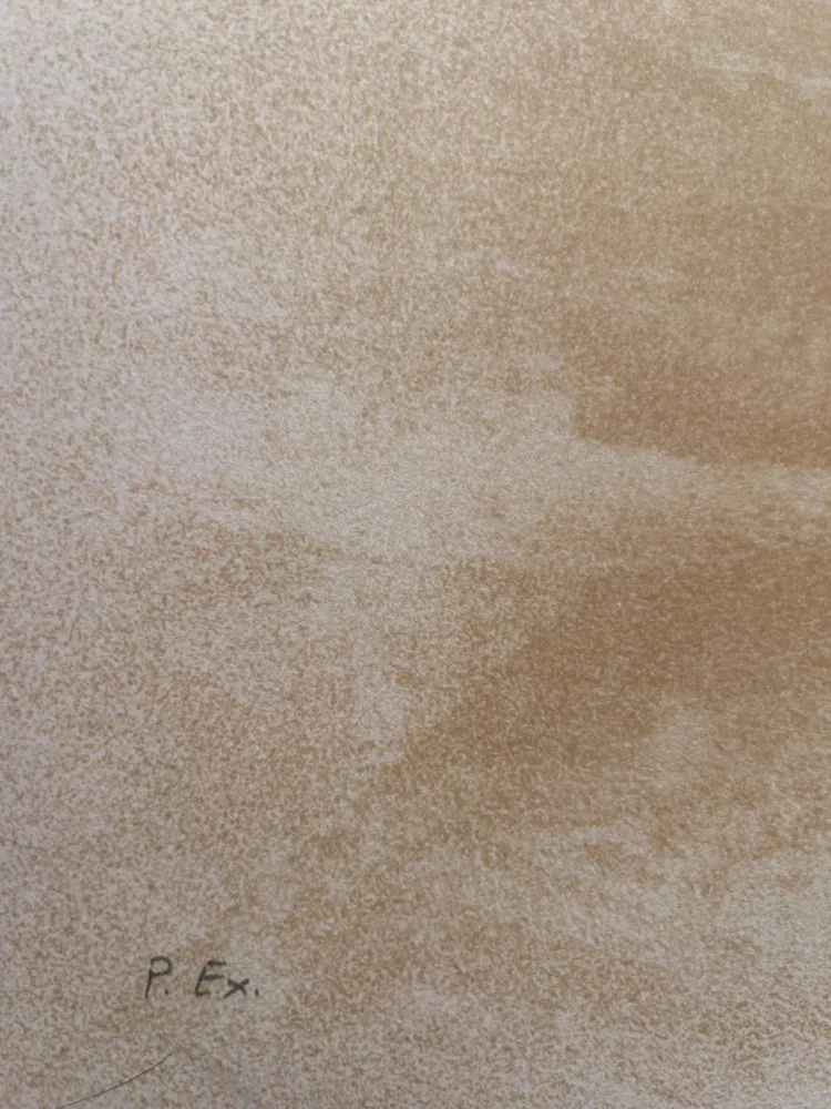 Lithografie Lam - El ultimo Viajedel buque fantasma 