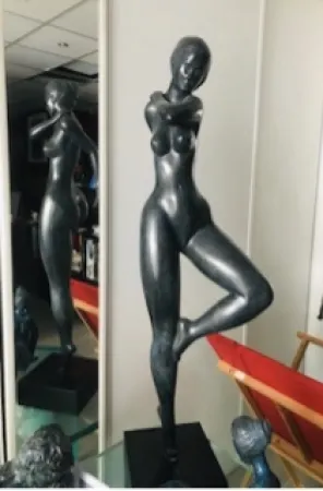 Geen Techniek Laniau - Hirondelle