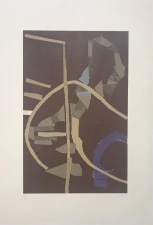 Lithografie Lanskoy - Journal d'un fou 